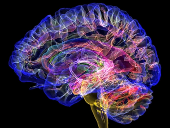 插大逼网大脑植入物有助于严重头部损伤恢复